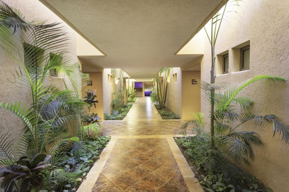 Hotel Los Patios กาโบซานลูกัส ภายนอก รูปภาพ